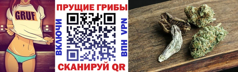 Псилоцибиновые грибы Magic Shrooms  сайты даркнета телеграм  Чкаловск 